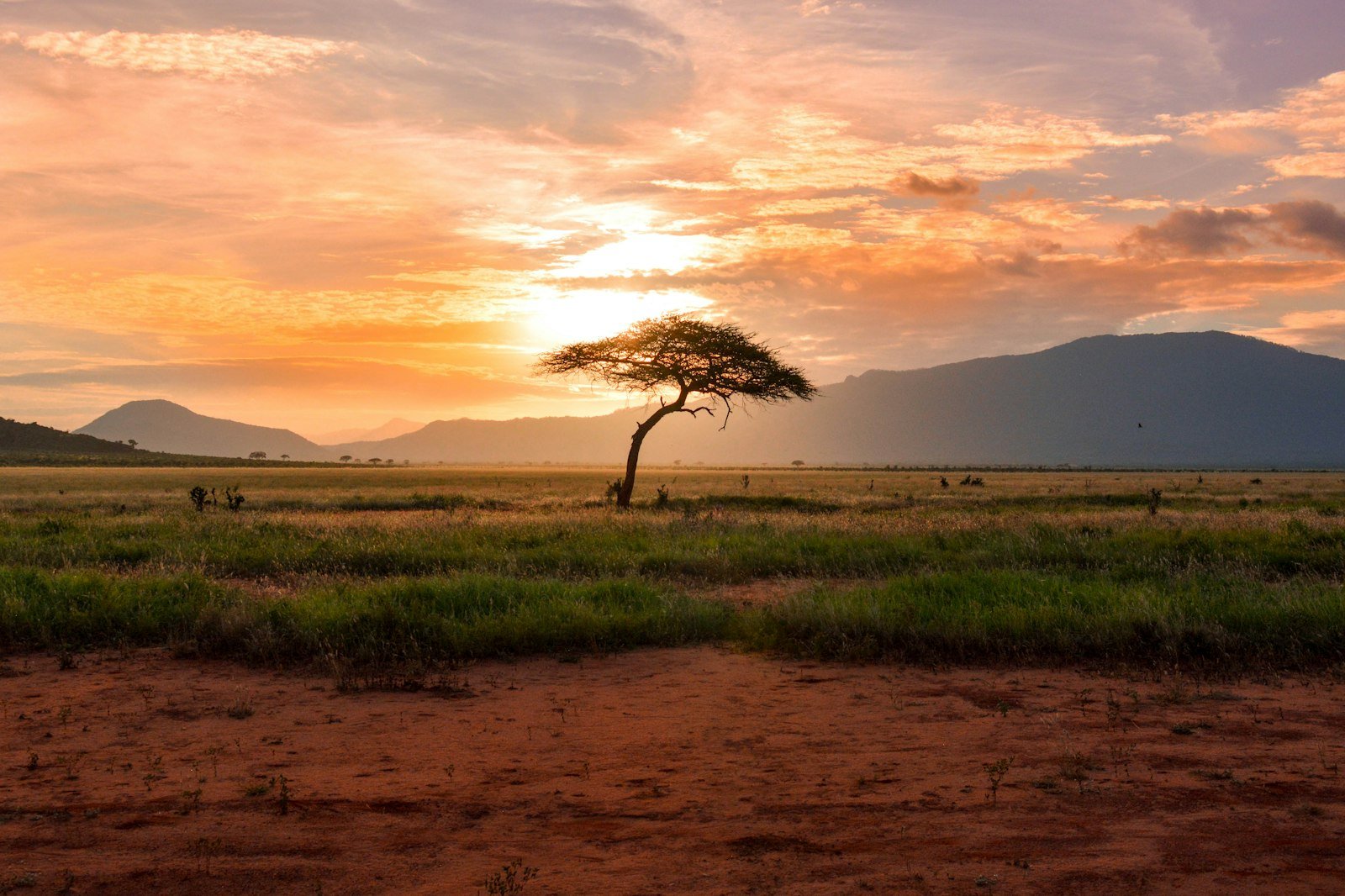 Kenya gallery 3